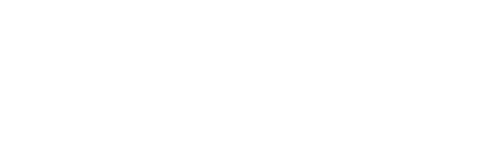 Bungie